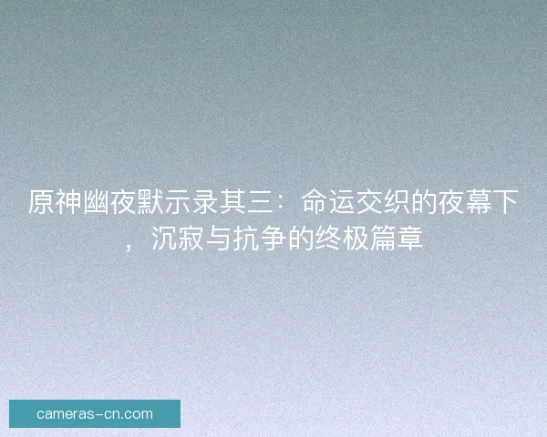 原神幽夜默示录其三：命运交织的夜幕下，沉寂与抗争的终极篇章