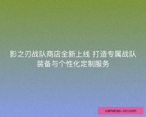 影之刃战队商店全新上线 打造专属战队装备与个性化定制服务