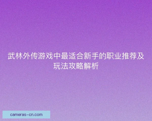 武林外传游戏中最适合新手的职业推荐及玩法攻略解析