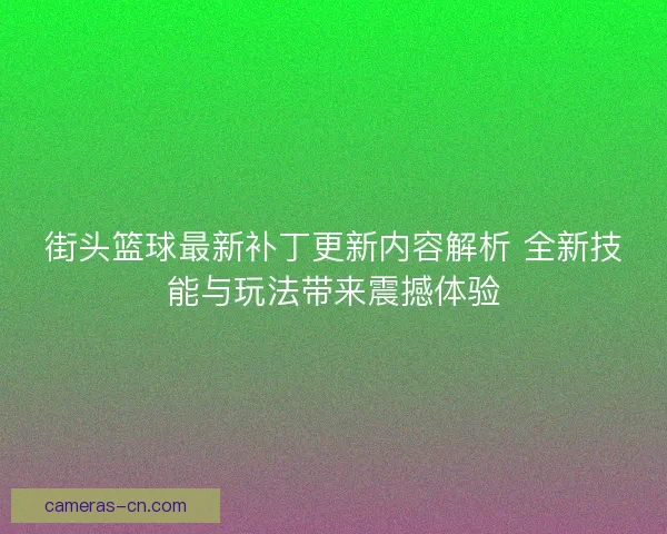 街头篮球最新补丁更新内容解析 全新技能与玩法带来震撼体验