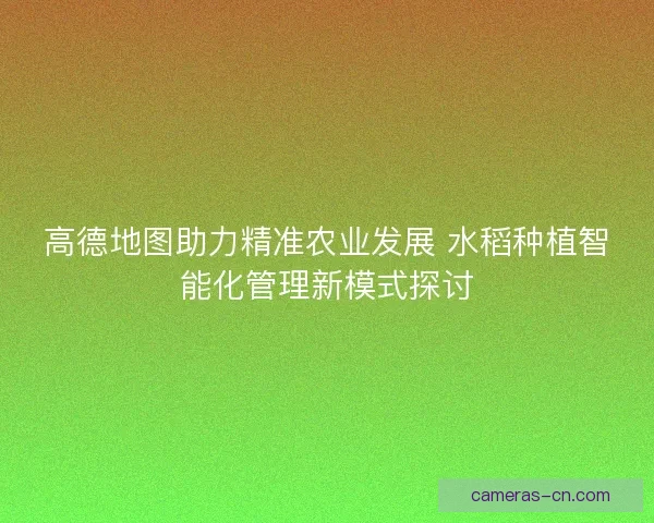 高德地图助力精准农业发展 水稻种植智能化管理新模式探讨