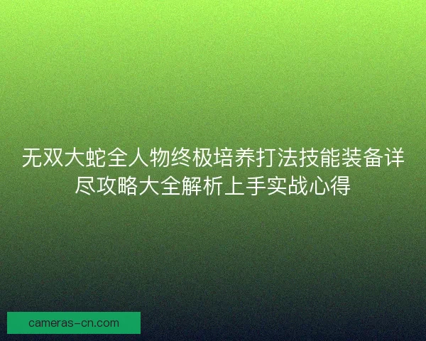 无双大蛇全人物终极培养打法技能装备详尽攻略大全解析上手实战心得 无双大蛇全人物终极培养打法技能装备详尽攻略大全解析上手实战心得