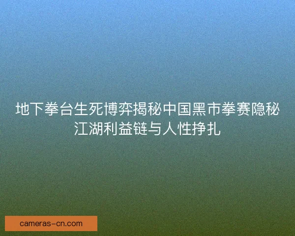 地下拳台生死博弈揭秘中国黑市拳赛隐秘江湖利益链与人性挣扎
